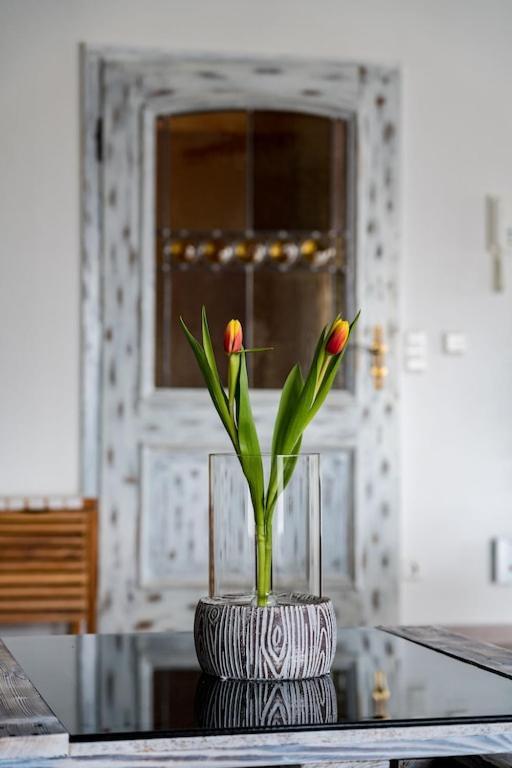Ferienwohnung Finke 2 FDH Buitenkant foto
