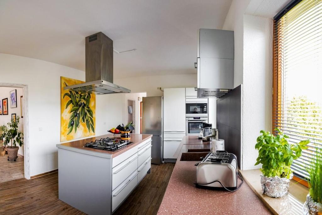 Ferienwohnung Finke 2 FDH Buitenkant foto